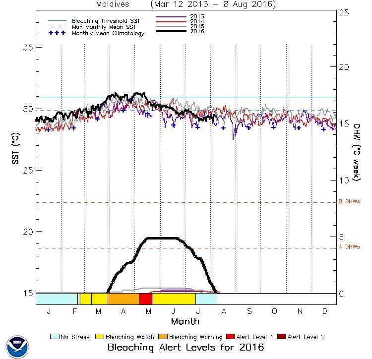 Degree heating weeks and thermal stress anomalies